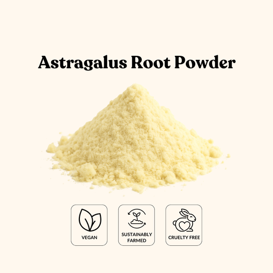 Astragalus Root Powder