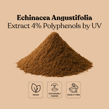 Echinacea Angustifolia Extract 4% Polyphenols by UV
