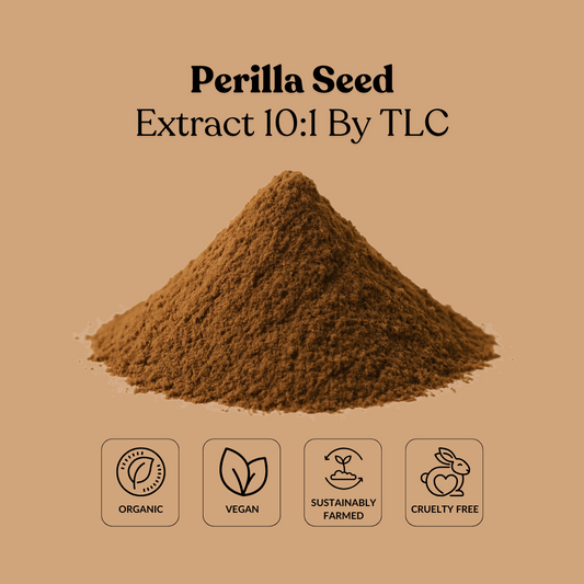 Perilla Seed Extract 10:1 By TLC
