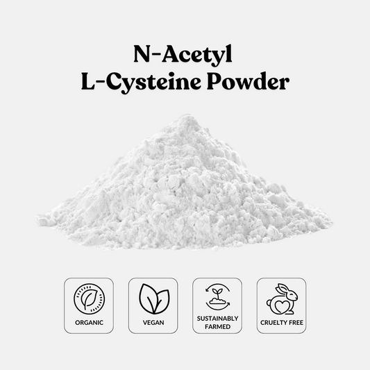 N-Acetyl L-Cysteine Powder