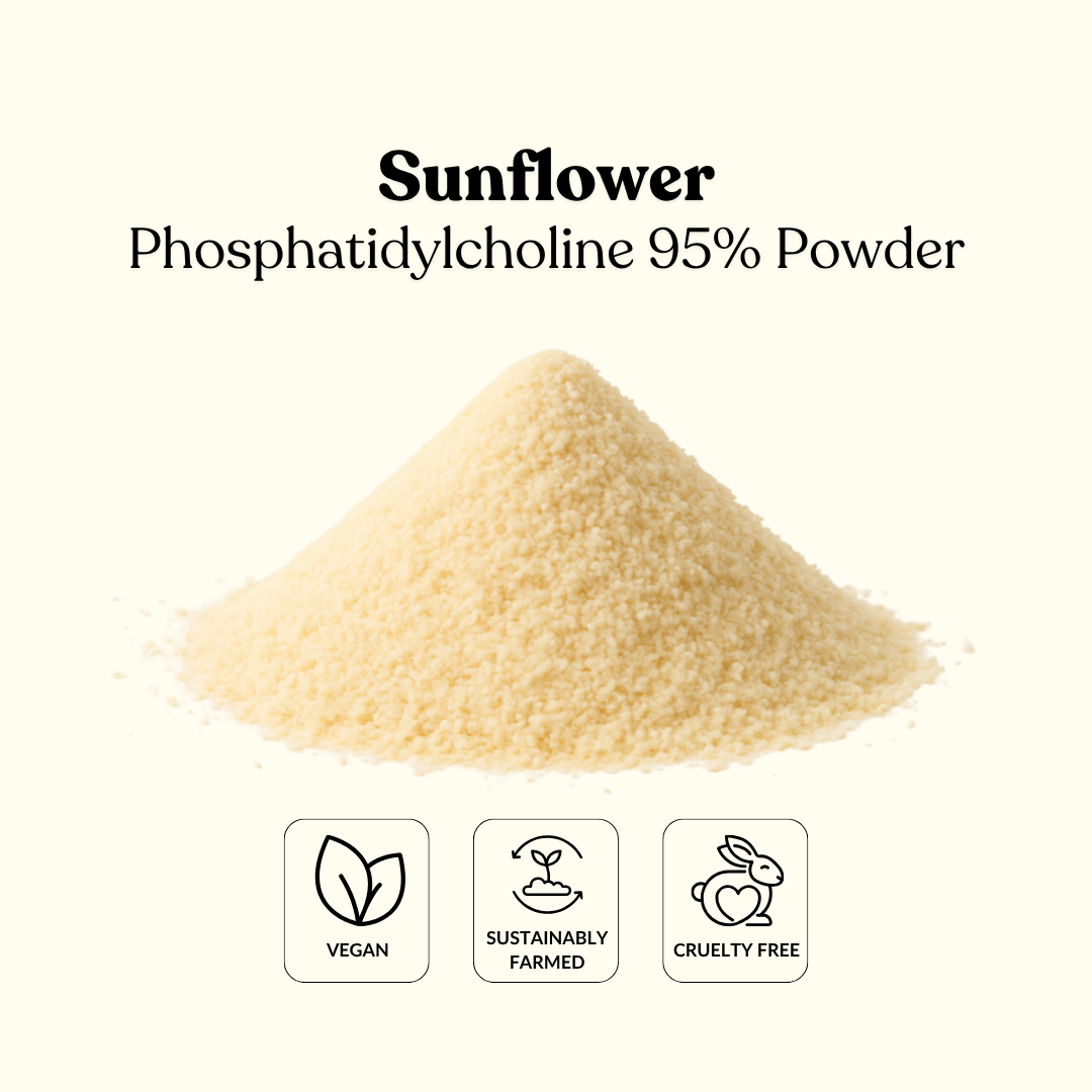 Sunflower Phosphatidylcholine 95% Powder