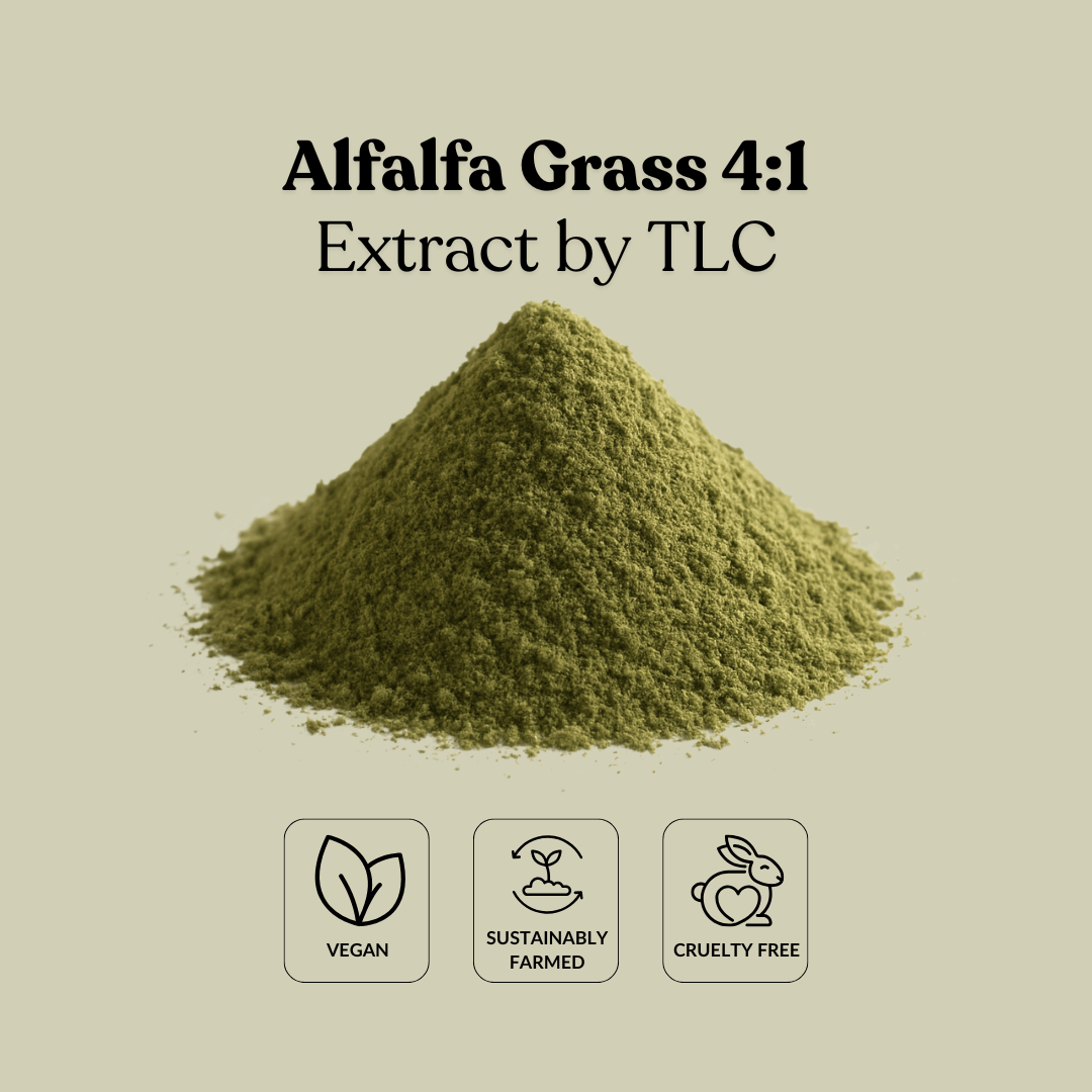 Alfalfa Grass 4:1 Extract by TLC