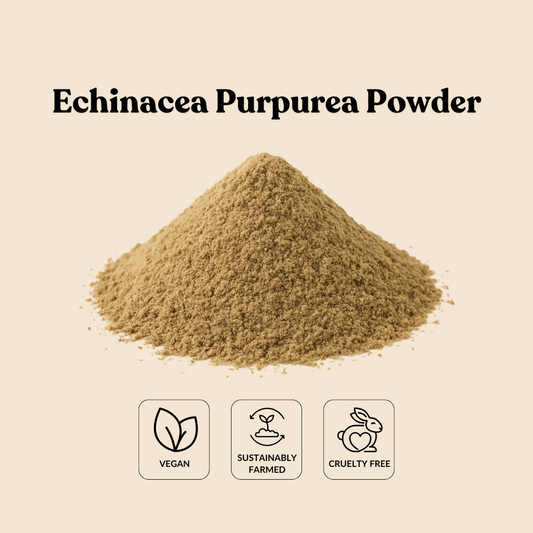 Echinacea Purpurea Powder