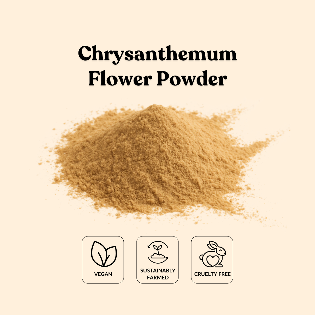 Chrysanthemum Flower Powder
