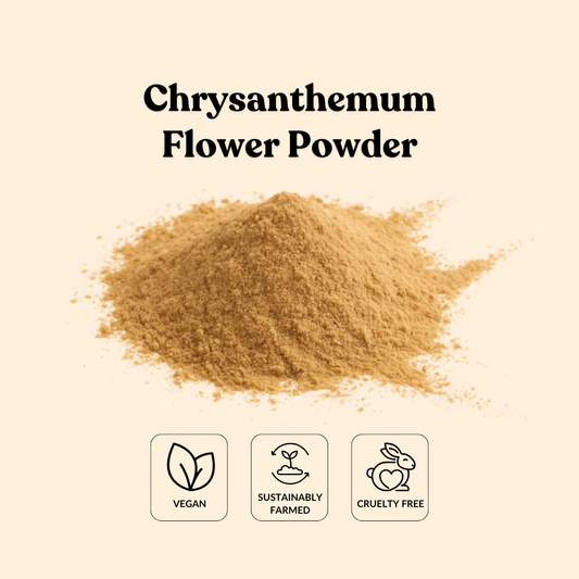 Chrysanthemum Flower Powder