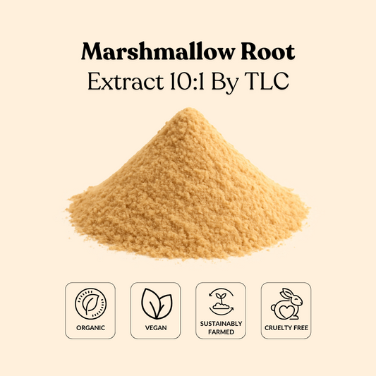Marshmallow Root Extract 10:1 By TLC