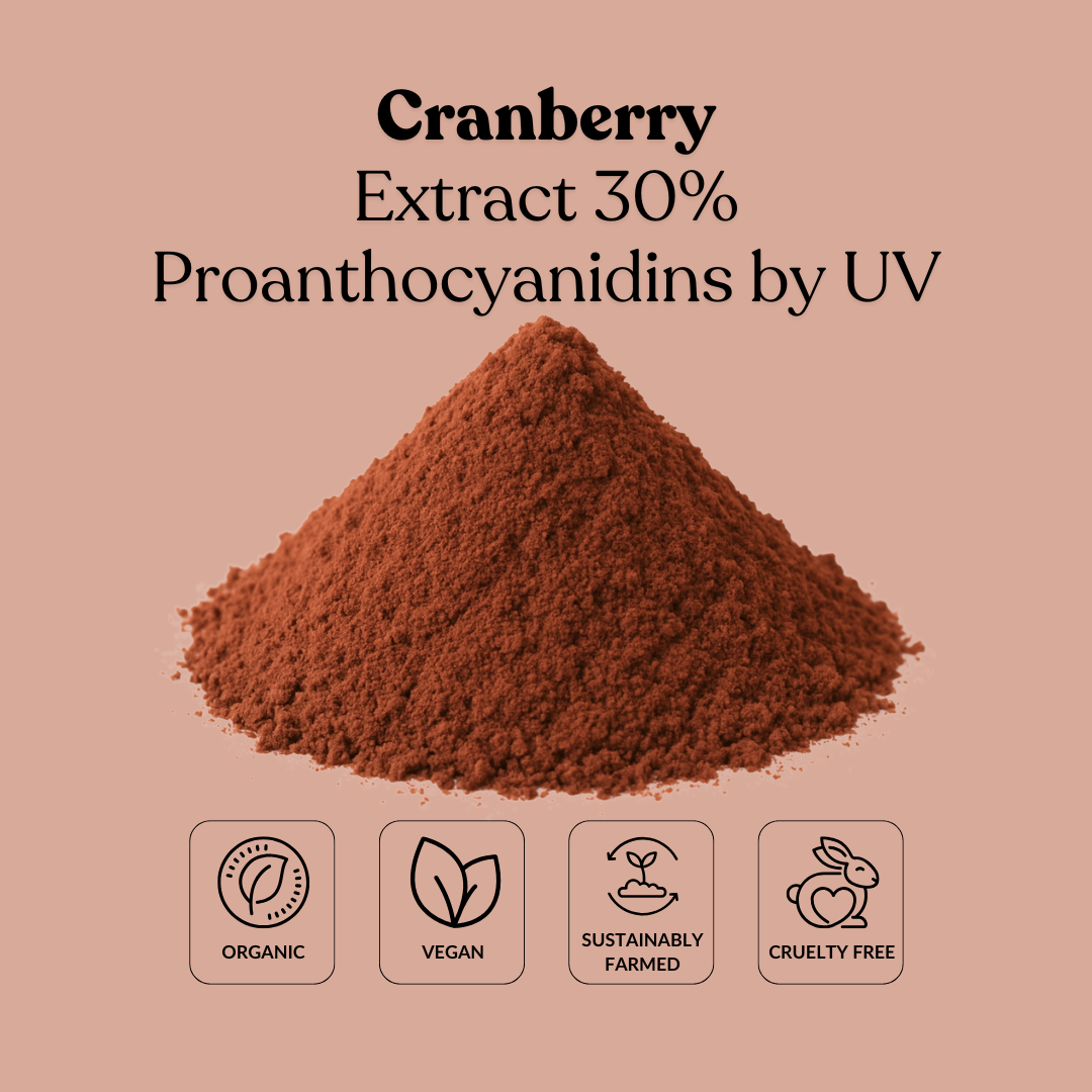 Cranberry Extract 30% Proanthocyanidins by UV