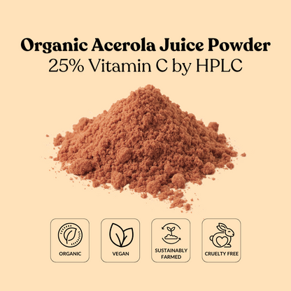 Organic Acerola Juice Powder 25% Vitamin C by HPLC