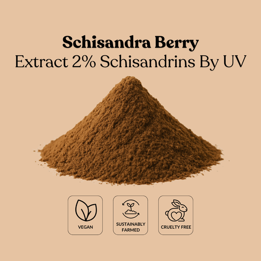 Schisandra Berry Extract 2% Schisandrins By UV