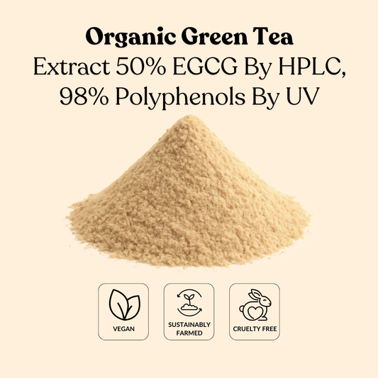 Organic Green Tea Extract 50% EGCG By HPLC, 98% Polyphenols By UV