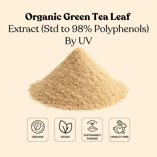 Organic Green Tea Leaf Extract (Std to 98% Polyphenols) By UV