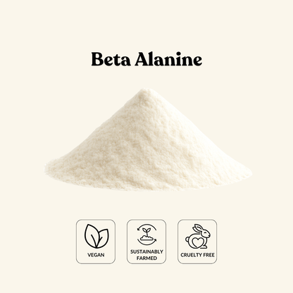 Beta Alanine