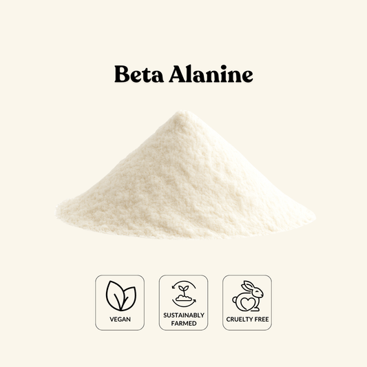Beta Alanine
