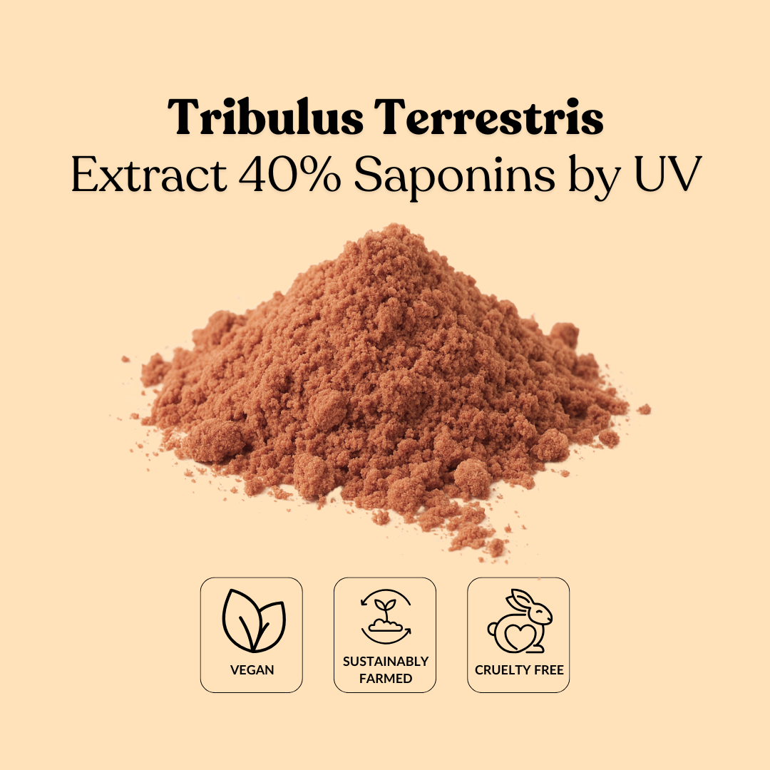 Tribulus Terrestris Extract 40% Saponins by UV