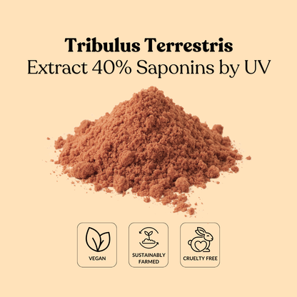 Tribulus Terrestris Extract 40% Saponins by UV