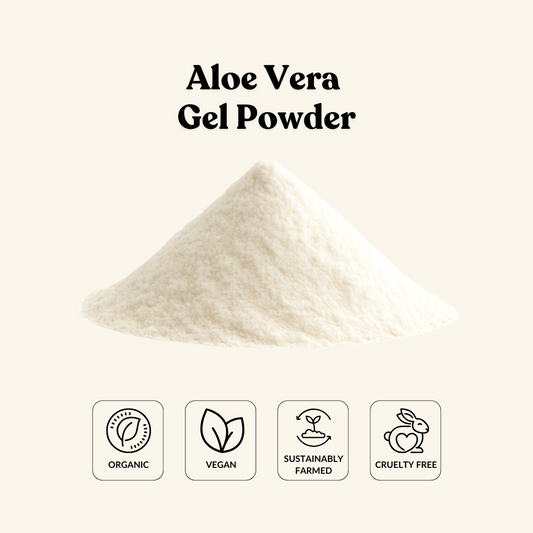 Aloe Vera Gel Powder