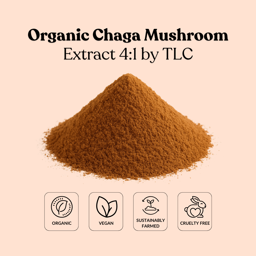 Organic Chaga Mushroom Extract 4:1 by TLC