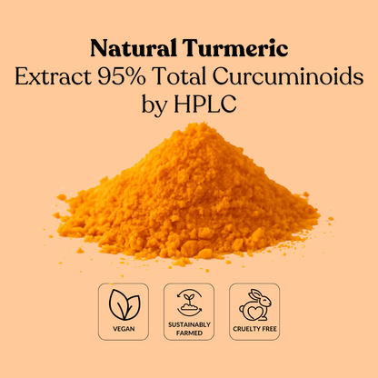 Natural Turmeric Extract 95% Total Curcuminoids by HPLC