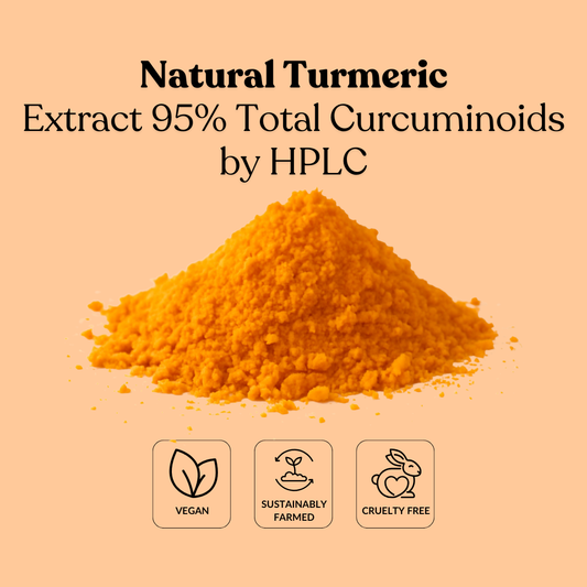 Natural Turmeric Extract 95% Total Curcuminoids by HPLC