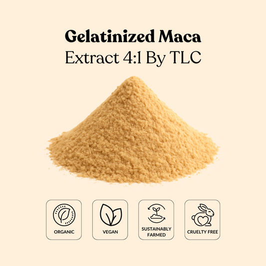 Gelatinized Maca Extract 4:1 By TLC
