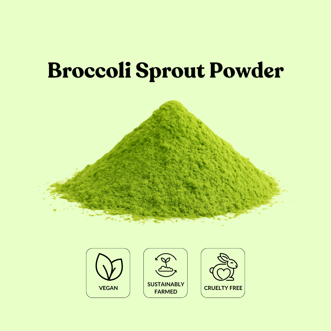 Broccoli Sprout Powder