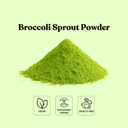 Broccoli Sprout Powder