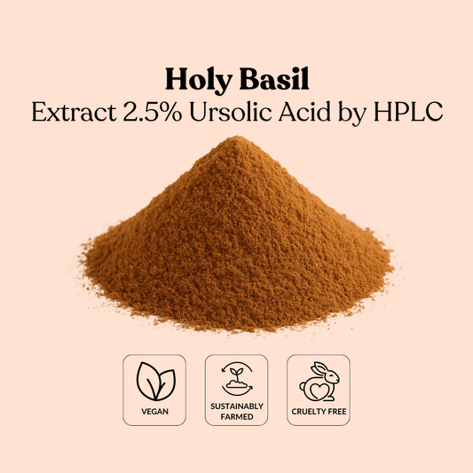 Holy Basil Extract 2.5% Ursolic Acid by HPLC