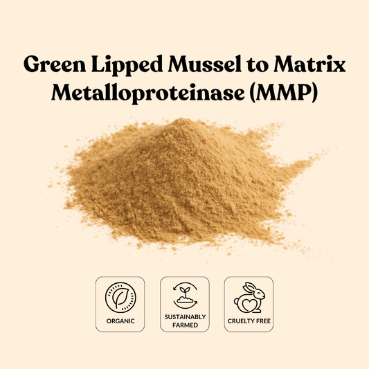 Green Lipped Mussel to Matrix Metalloproteinase (MMP)