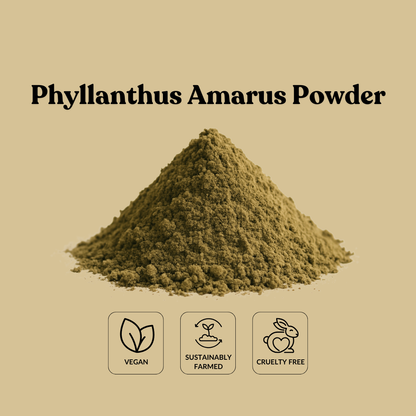 Phyllanthus Amarus Powder