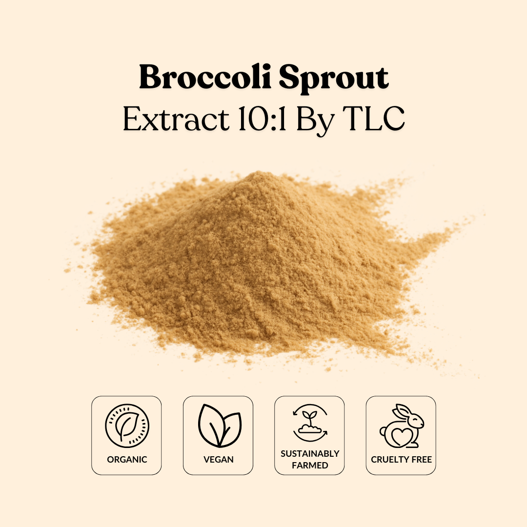 Broccoli Sprout Extract 10:1 By TLC