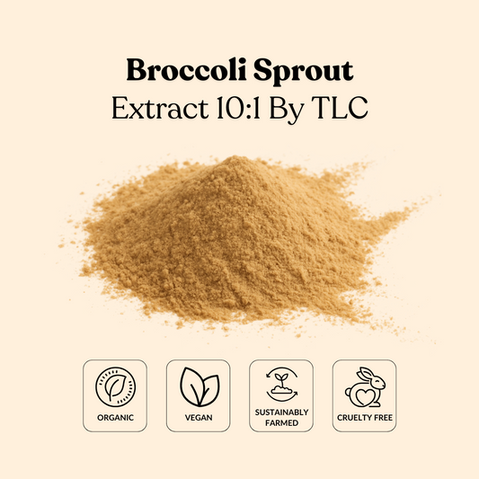 Broccoli Sprout Extract 10:1 By TLC