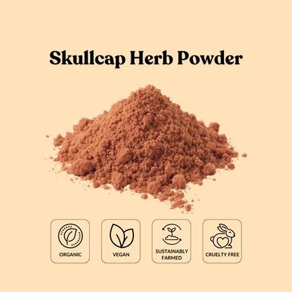 Skullcap Herb Powder