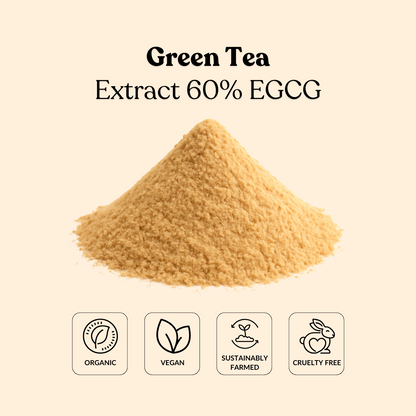 Green Tea Extract 60% EGCG