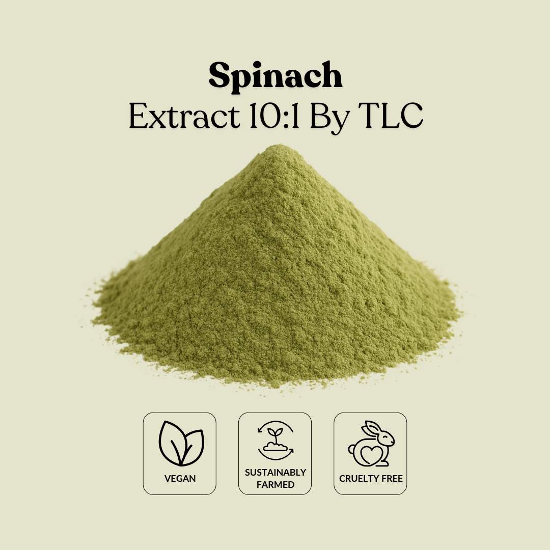 Spinach Extract 10:1 By TLC
