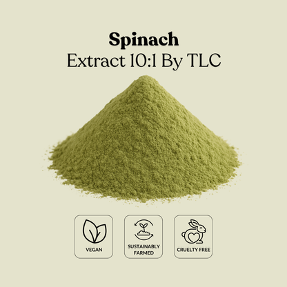 Spinach Extract 10:1 By TLC