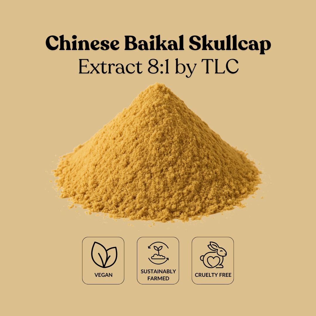 Chinese Baikal Skullcap Extract 8:1 by TLC