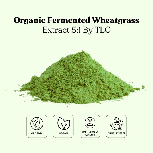 Organic Fermented Wheatgrass Extract 5:1 By TLC