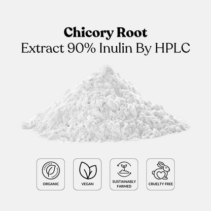 Chicory Root Extract 90% Inulin By HPLC