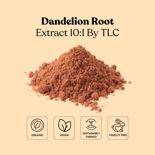 Dandelion Root Extract 10:1 By TLC