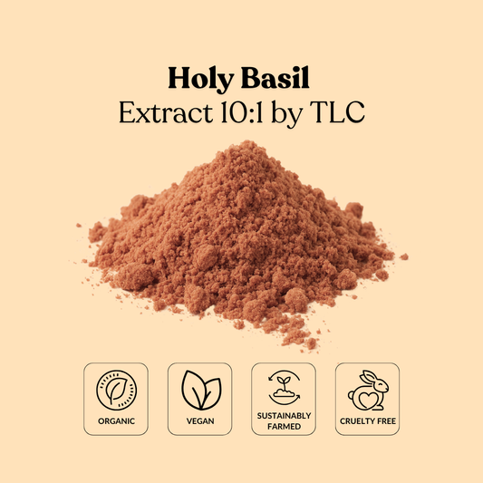 Holy Basil Extract 10:1 by TLC