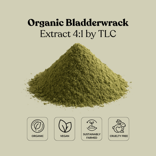 Organic Bladderwrack Extract 4:1 by TLC