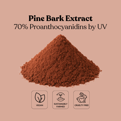 Pine Bark Extract 70% Proanthocyanidins by UV