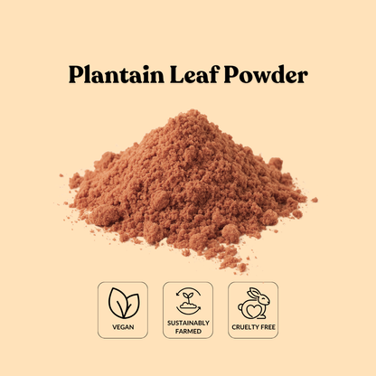 Plantain Leaf Powder
