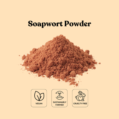 Soapwort Powder