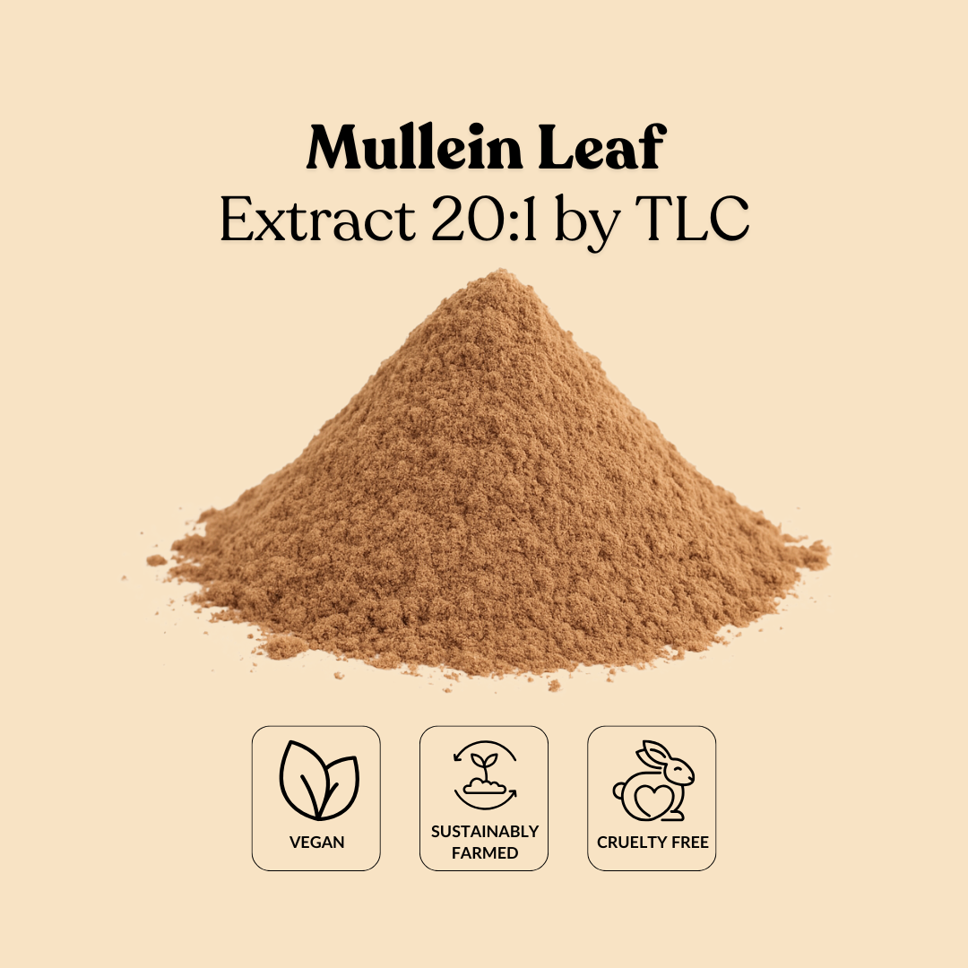Mullein Leaf Extract 20:1 by TLC