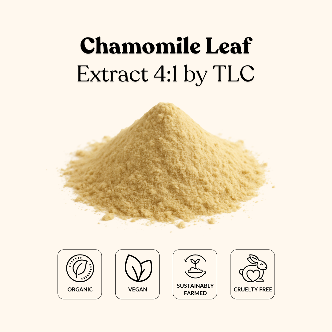 Chamomile Leaf Extract 4:1 by TLC
