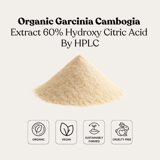 Organic Garcinia Cambogia Extract 60% Hydroxy Citric Acid By HPLC