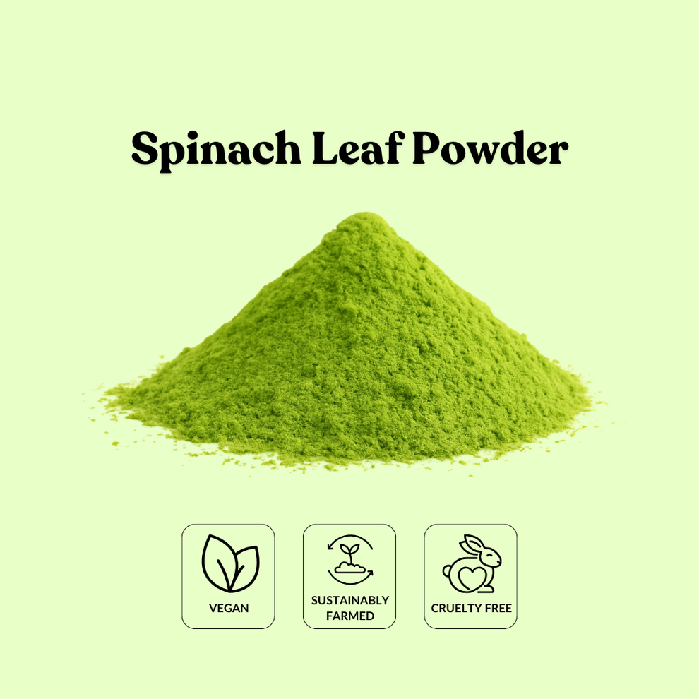 Spinach Leaf Powder – Total Ingredients