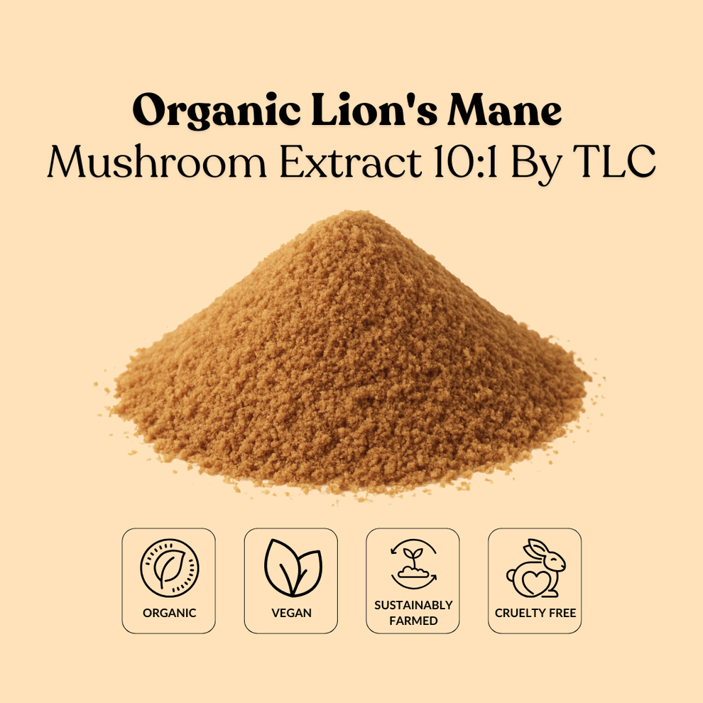 Organic Lion's Mane Mushroom Extract 10:1 By TLC – Total Ingredients