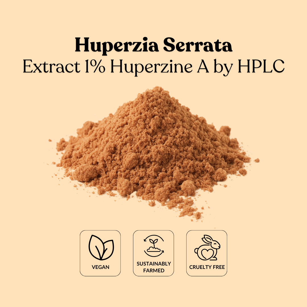 Huperzia Serrata Extract 1% Huperzine A by HPLC